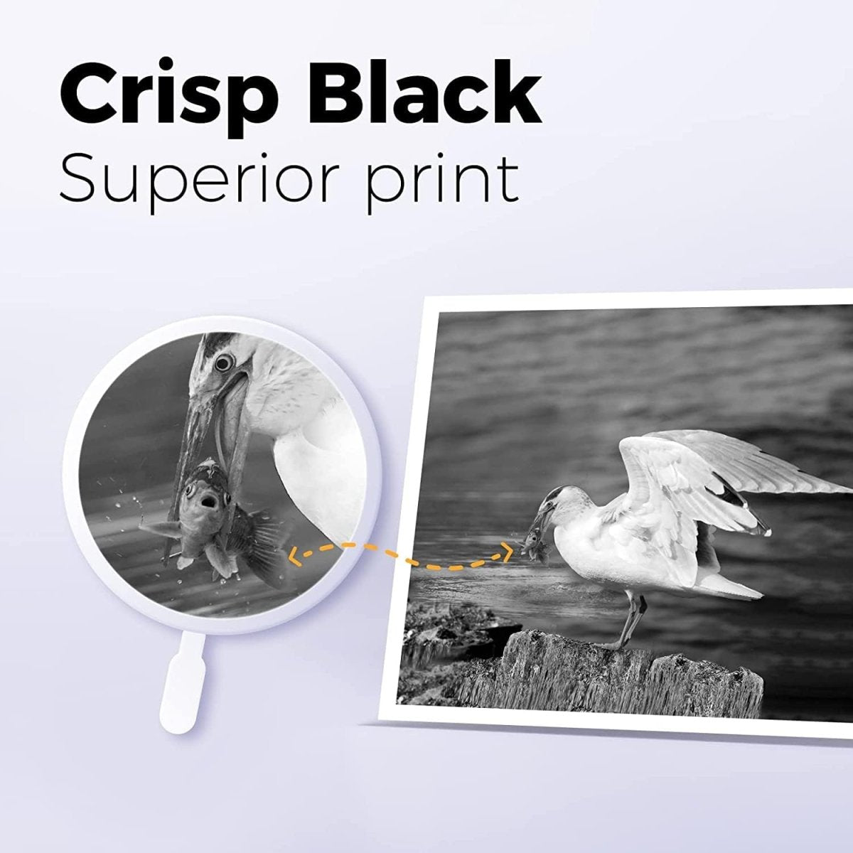 W2110X Compatible HP 206X Black Toner Cartridge 2-Pack - Linford Office:Printer Ink & Toner Cartridge